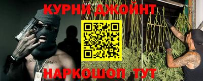 гашик Балахна