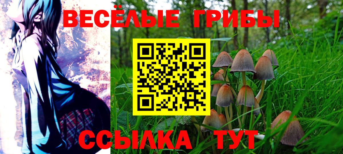 Галлюциногенные грибы мухоморы Егорьевск