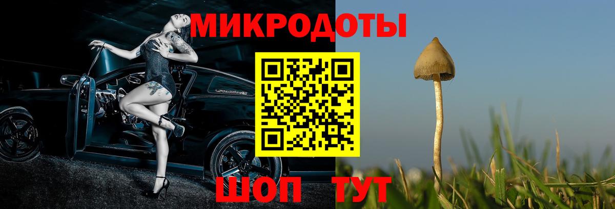 Егорьевск  Псилоцибиновые грибы мухоморы  Вход с VPN 